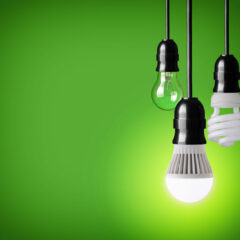 hanging tungsten light bulb, energy saving and LED bulb