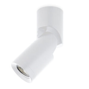 Opbouwspot Rond, Kantelbaar, GU10 Fitting, Mat Wit