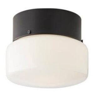 Plafondlamp Met 2 x G9 Fitting, Zwart, Melkwitte Glas, â20cm