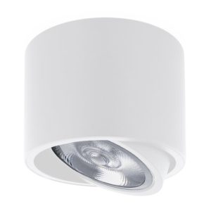 Opbouwspot Rond AR111, Kantelbaar, GU10 Fitting, Mat Wit